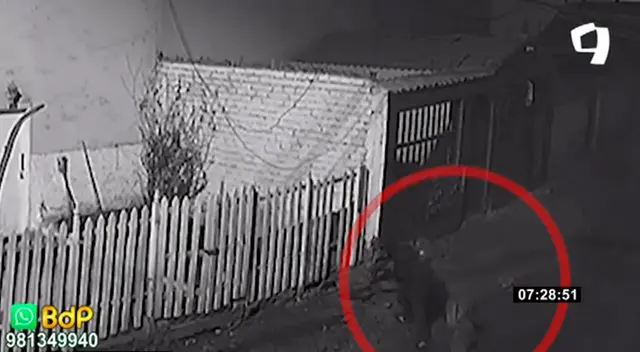 Callao: ladrón se robó cinco medidores de agua y dejó sin agua a vecinos de Gamarrita Chica [VIDEO]