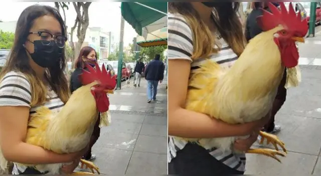 La imagen no ha tardado en volverse viral. La imagen no ha tardado en volverse viral.