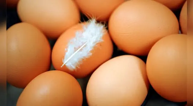 Precio del huevo: sube el kilo a S/ 7.00 en mercados de Lima [VIDEO]