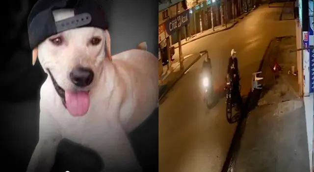 Bruno salió a perseguir a los delincuentes que lo asesinaron sin piedad.