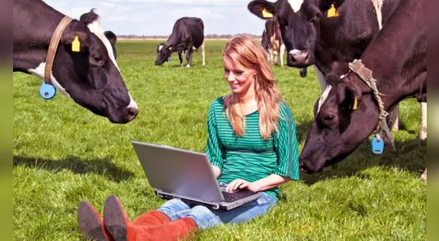 Soñar con vacas es un buen augurio en temas económicos y finanzas personales.