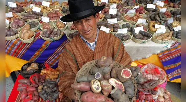 La papa tiene más de 10 mil años de ser cultivada. Crecían en el sur peruano y zonas aledañas.