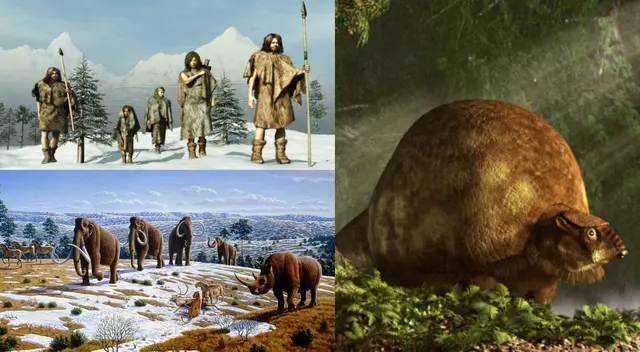 La era Cenozoica se dividió en tres: periodo Paleógeno, periodo Neógeno y periodo Cuaternario.