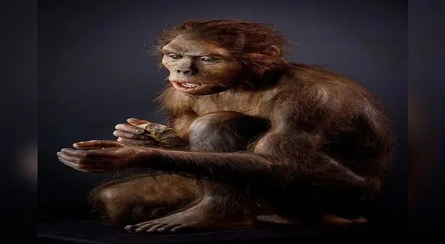 El homo habilis se caracterizó por su habilidad para fabricar sus armas de caza. El homo habilis se caracterizó por su habilidad para fabricar sus armas de caza.