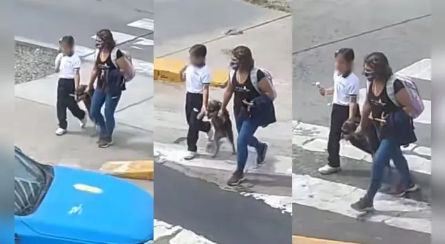 El clip es viral en TikTok y otras redes sociales. Foto: TikTok El clip es viral en TikTok y otras redes sociales. Foto: TikTok