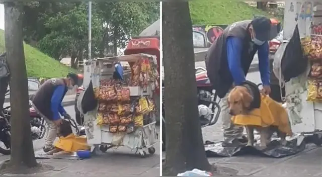 ¡Divino! Las imágenes han conmovido a cientos de usuarios en la popular plataforma de videos.