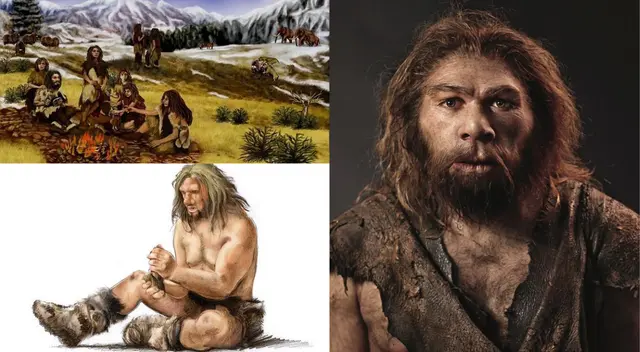 Se cree que su extinción se debió al cambio climático y la lucha de poder con los Sapiens. Se cree que su extinción se debió al cambio climático y la lucha de poder con los Sapiens.