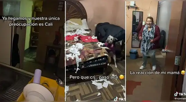 El momento se ha vuelto viral en las redes sociales.