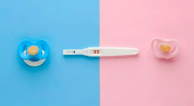 Hoy 4 de junio se conmemora el Día Mundial de la Fertilidad, con la finalidad de hacer un llamado de atención sobre los problemas para embarazarse que se presentan en la actualidad.