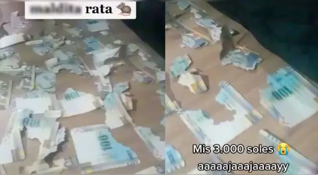 El video se ha vuelto tendencia en la popular plataforma alcanzando más de 90.000 reproducciones.