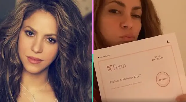 Descubre qué estudió Shakira mientras seguía su carrera de cantante.