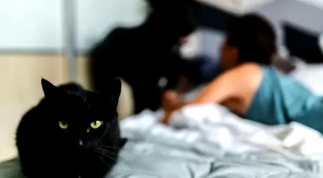 Viruela del mono Viruela del mono