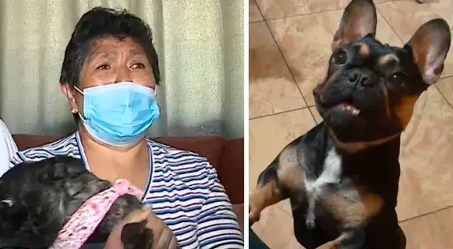 Cuando fueron a la comisaría de Chosica a interponer la denuncia, descubrieron que el centro de crianza Discovery Exotic Pet no contaba con licencia de funcionamiento.