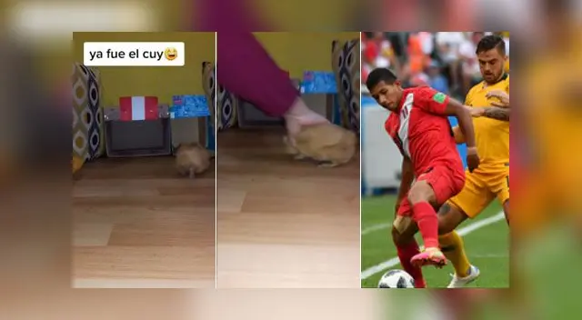 El video no ha tardado en volverse viral en las redes sociales. El video no ha tardado en volverse viral en las redes sociales.