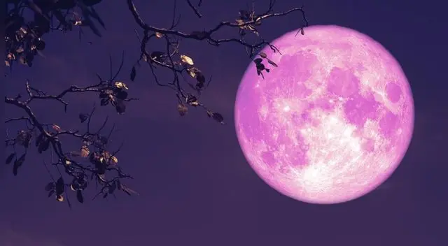 ¿Has visto una superluna de fresa? Aquí la verás, en esta nota te contamos cómo y a qué hora ver este gran fenómeno astronómico. ¿Has visto una superluna de fresa? Aquí la verás, en esta nota te contamos cómo y a qué hora ver este gran fenómeno astronómico.