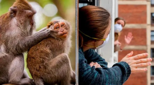 En la región la viruela del mono ya llegó en al menos cuatro país.