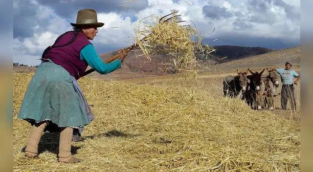 El  24 de junio se celebra el Día del Campesino. Foto: LR
