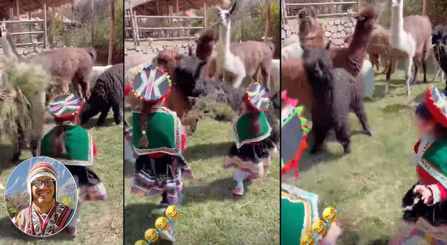 Gianluca Lapadula, delantero de la selección peruana, llamó la atención en las redes sociales.
