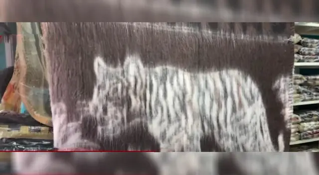 Cercado: frazadas Cercado: frazadas