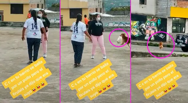 Las vecinas estaban bailando, cuando de pronto vieron al perrito corriendo con el pollo. Las vecinas estaban bailando, cuando de pronto vieron al perrito corriendo con el pollo.