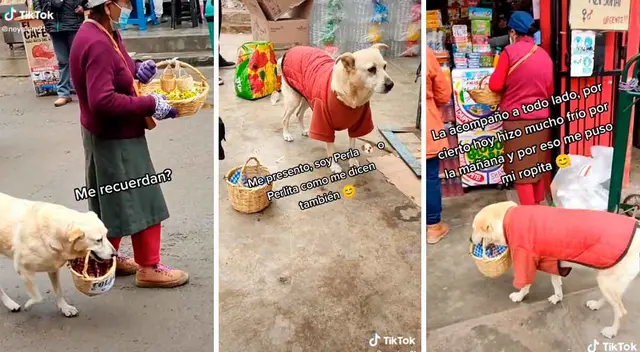 La perrita ayuda a su dueña a salir adelante.