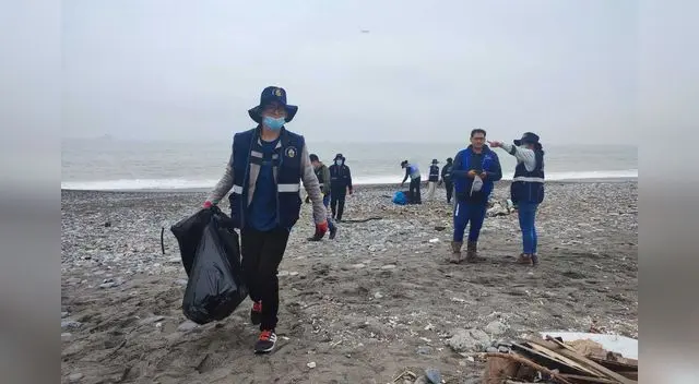 Recogen más de 100 toneladas de basura marina en playa Márquez