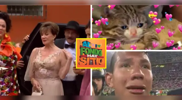 Memes de Francesca Maldini de AFHS.