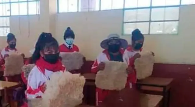 Puno: escolares usan cuero de oveja para ir al colegio ante ola de frío
