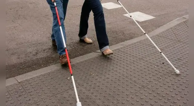 Personas sordociegas: Hoy en día se utilizan una serie de bastones para identificar qué mal padece.