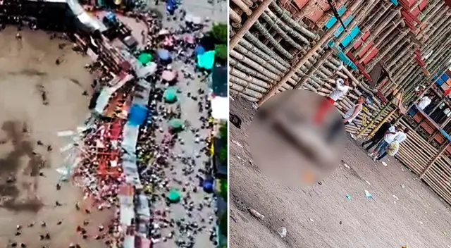 La senadora colombiana Andrea Padilla Villarraga publicó un video en Twitter sobre el final del toro.