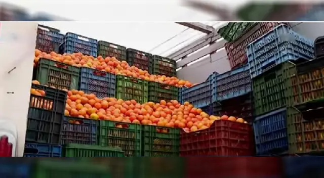 Paro de transportistas: hay miedo por enviar frutas a Lima por protestas {VIDEO} Paro de transportistas: hay miedo por enviar frutas a Lima por protestas {VIDEO}