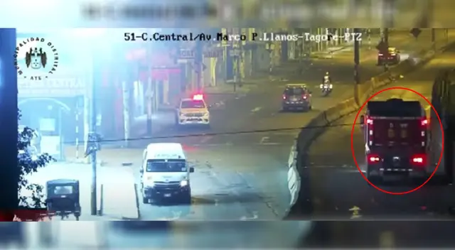 Ate: delincuentes envenenan a 8 perros para robar 2 volquetes de un depósito [VIDEO]