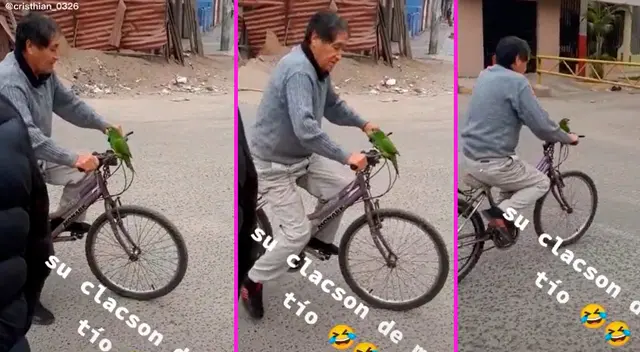 El adulto mayor llevó de paseo a su fiel mascota. El adulto mayor llevó de paseo a su fiel mascota.