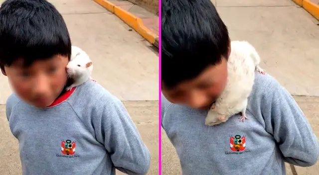 El pequeño fue captado paseando con su rata de mascota.