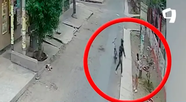 SJM: delincuente ‘caradura’ roba a sus propios vecinos y se esconde en su casa [VIDEO]