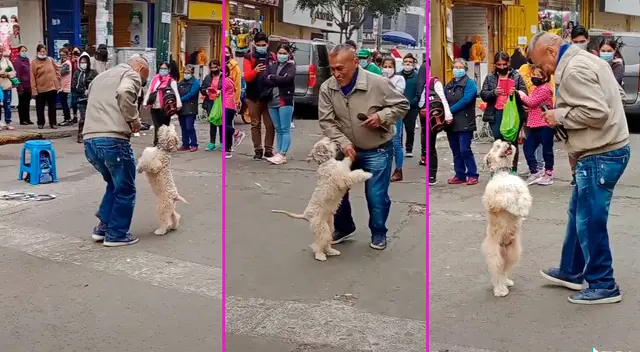 El perrito se convirtió en la estrella de baile.