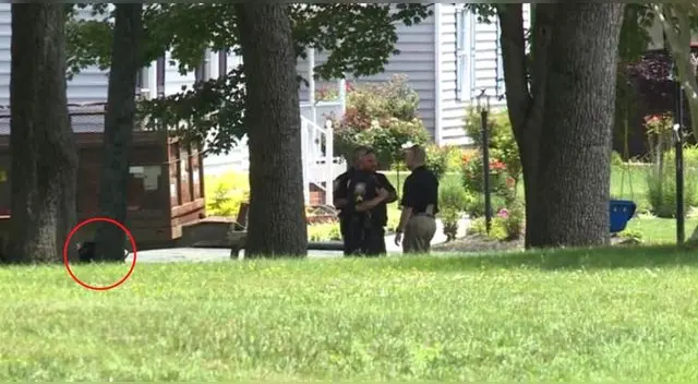 El hombre olvidó a su hijo de a penas 18 meses de edad dentro de su vehículo. El hombre olvidó a su hijo de a penas 18 meses de edad dentro de su vehículo.