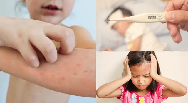 Dentro del grupo de los niños los que están en mayor peligro son los recién nacidos y lactantes.