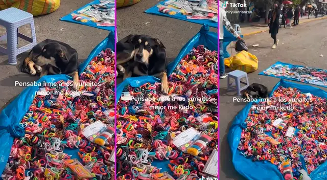 La curiosa escena no pasó desapercibida en redes sociales.