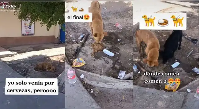 La escena ha tocado los corazones de miles de usuarios en la popular plataforma de videos.