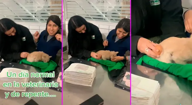 El peculiar método de curación se hizo viral en redes sociales.