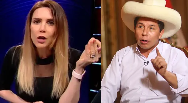 Comunicadora catalogó como una falta de respeto el encubrimiento de Castillo a sus familiares. Comunicadora catalogó como una falta de respeto el encubrimiento de Castillo a sus familiares.