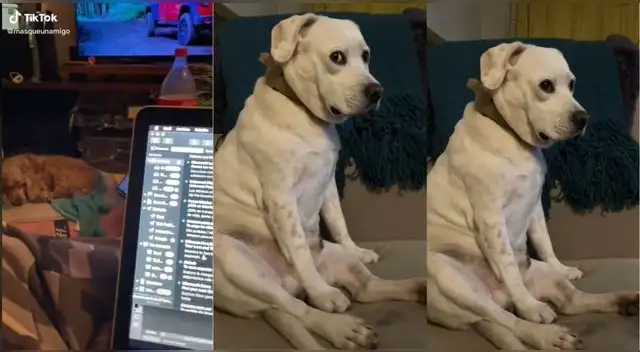 La escena se ha vuelto tendencia en la popular plataforma de videos generando miles de comentarios. La escena se ha vuelto tendencia en la popular plataforma de videos generando miles de comentarios.