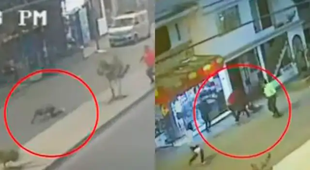 VES: delincuente que robó celular se tropieza y vecinos lo linchan [VIDEO]