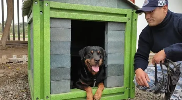 Surco: con plástico reutilizado crean casas para mascotas rescatadas por Brigada Canina Surco: con plástico reutilizado crean casas para mascotas rescatadas por Brigada Canina