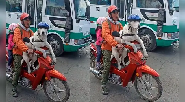 ¡Se pasa! La escena es viral en la popular plataforma generando miles de vistas y comentarios. ¡Se pasa! La escena es viral en la popular plataforma generando miles de vistas y comentarios.