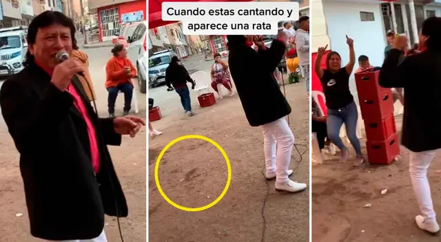 Rata se robó el show y los perros lo corretearon estropeando la presentación del cantante vernacular. Rata se robó el show y los perros lo corretearon estropeando la presentación del cantante vernacular.