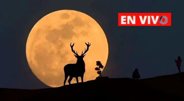 Superluna de ciervo se podrá ver este miércoles 13 de julio.