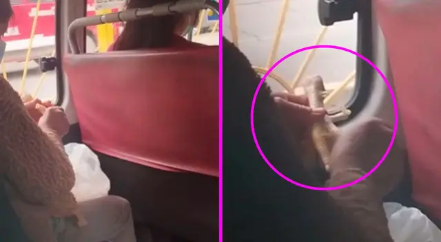 La mujer aprovechó el tiempo el micro para avanzar con sus quehaceres. La mujer aprovechó el tiempo el micro para avanzar con sus quehaceres.