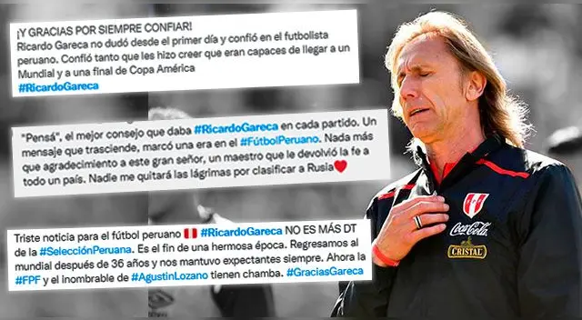 Así reaccionaron los usuarios tras conocer la salida del 'Tigre'.